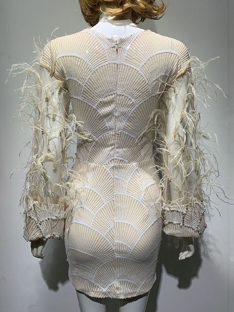 Embroidered evening dress, with feathers.
