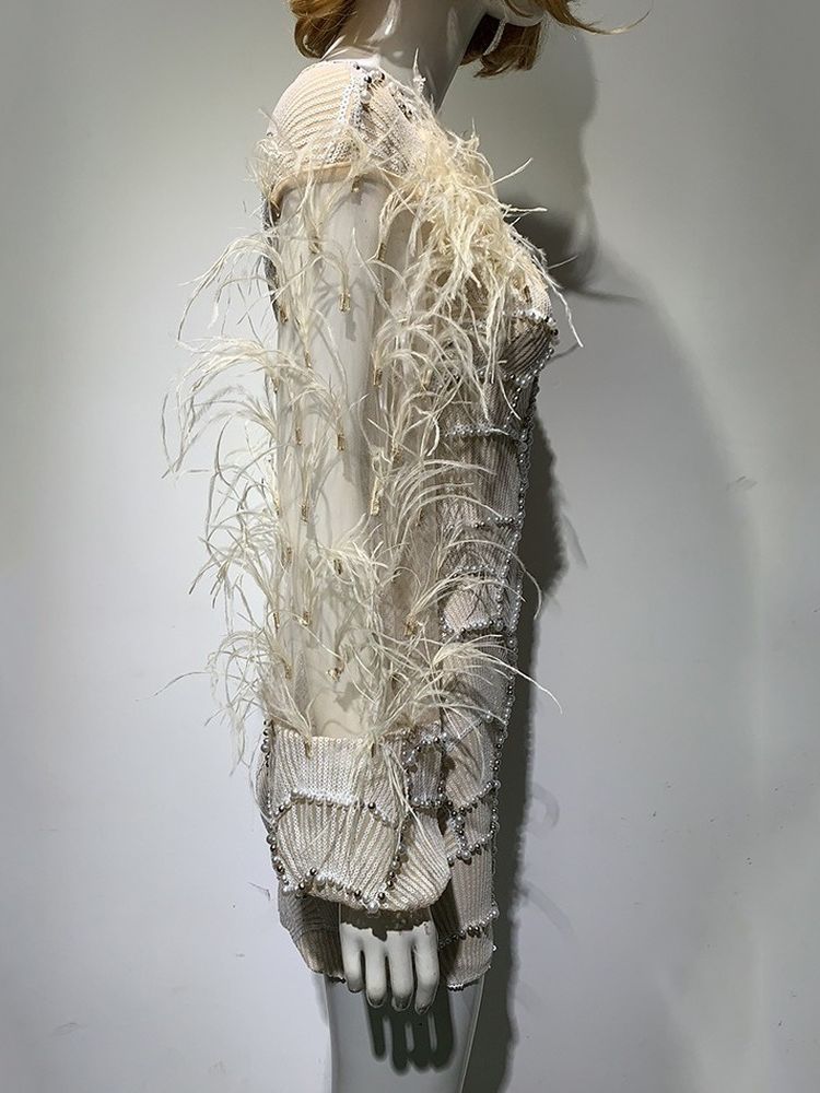 Embroidered evening dress, with feathers.